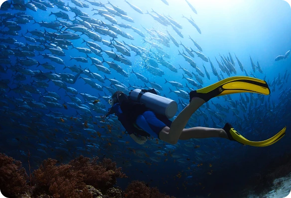 Ras Mohammed National Park