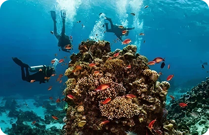 New Liveaboard Route: Northern Circuit