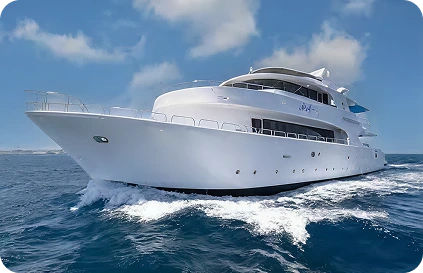 Special Offer: Early Bird Discount