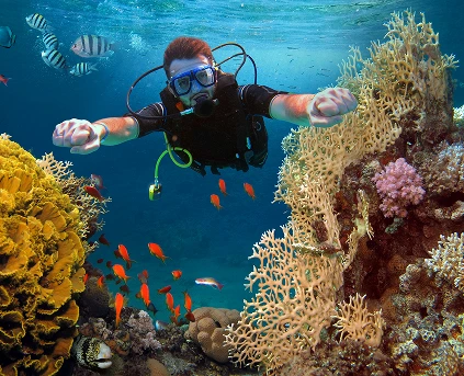 North Reefs, Wrecks, Tiran